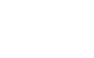 widget-logo